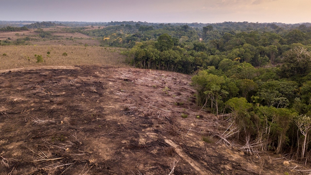 İklim Krizi Amazon Yağmur Ormanları Kritik Eşiğe Yaklaşıyor