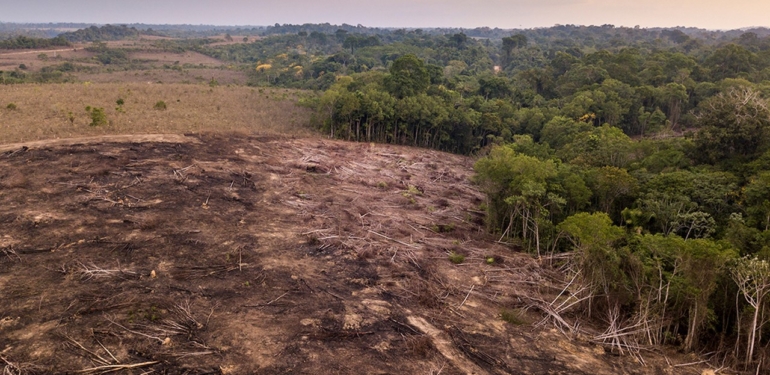 İklim Krizi Amazon Yağmur Ormanları Kritik Eşiğe Yaklaşıyor