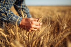 Oxfam uyardı: Savaş sonrası felaket yakın!