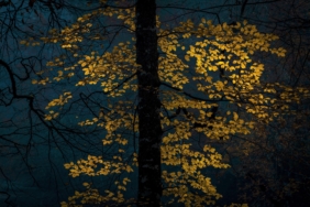 Ödüllü fotoğraf sanatçısı Meltem  Akgün'den “ RESSAM – DOĞA“ sergisi