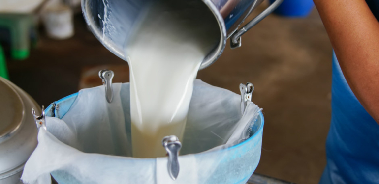 Zam şampiyonu süt durmak bilmiyor