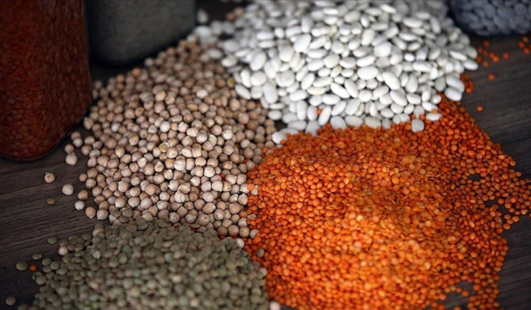 2024 Yılı Bitkisel Üretim İstatistikleri