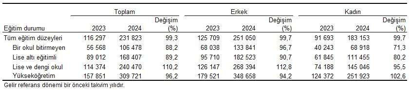 TÜİK Gelir Verileri: 2024 Yılı Hanehalkı Gelir Raporu