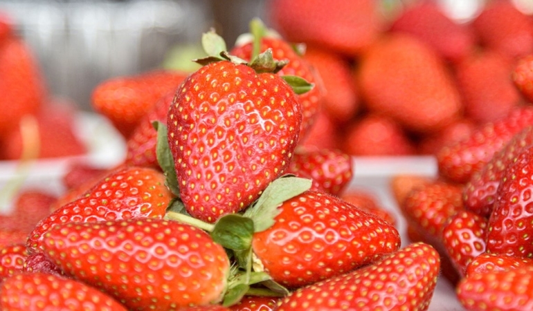 Antalya’da Çilek Fiyatlarının Yükselmesi