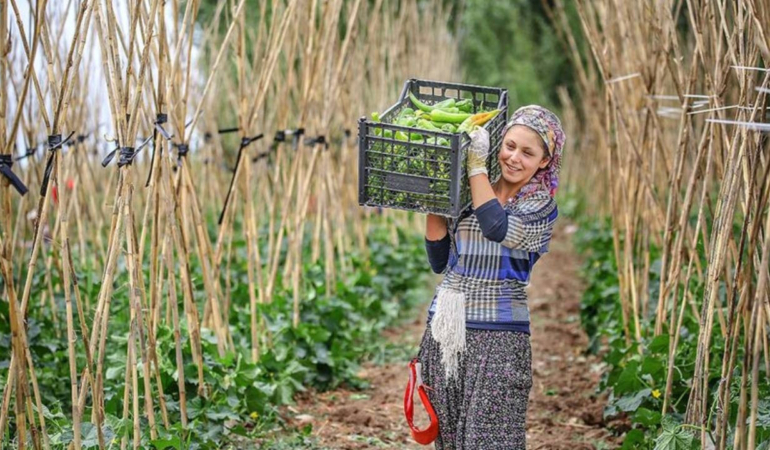 Enerji Tasarrufu ve Yenilenebilir Enerji Destekleri
