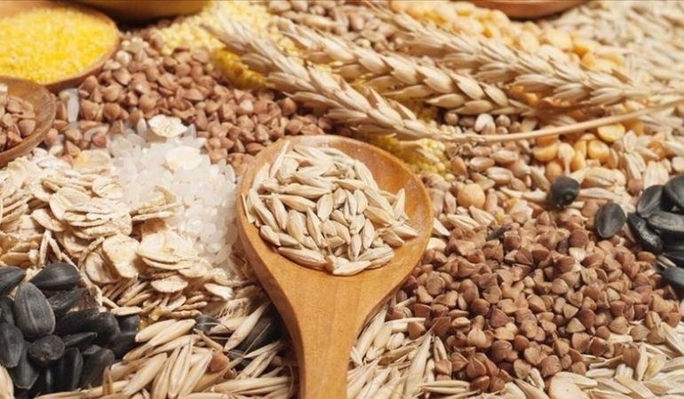 FAO Gıda Fiyat Endeksi Aralık 2023 Raporu