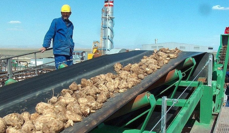 Iğdır’daki Şeker Fabrikasının Özelleştirilmesi