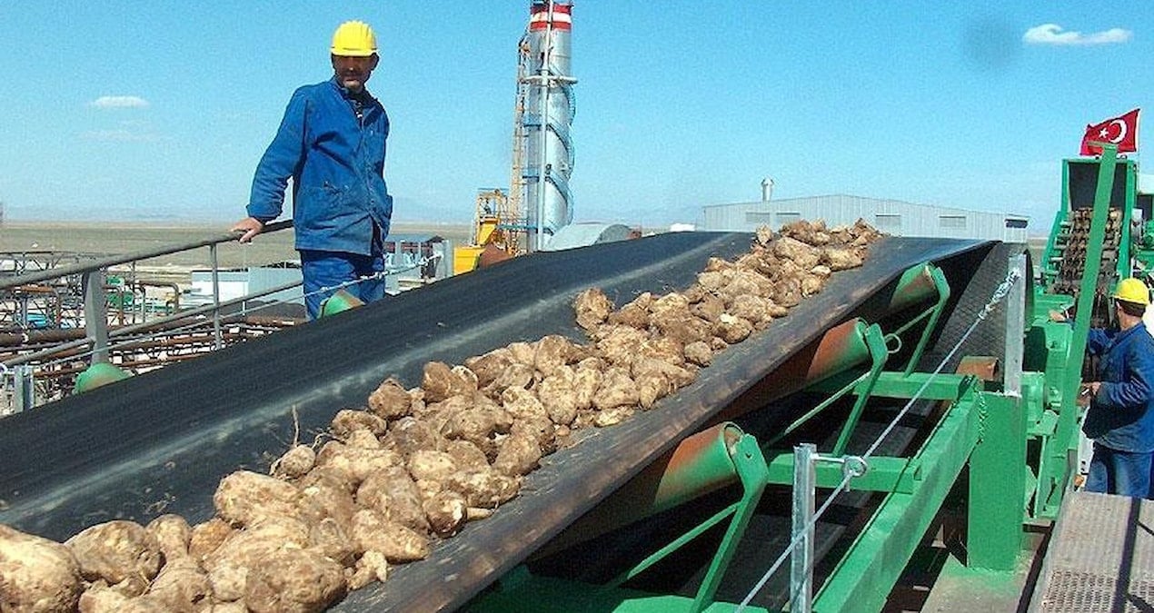 igdirdaki-seker-fabrikasinin-ozellestirilmesi-QqB6MWmX.jpg