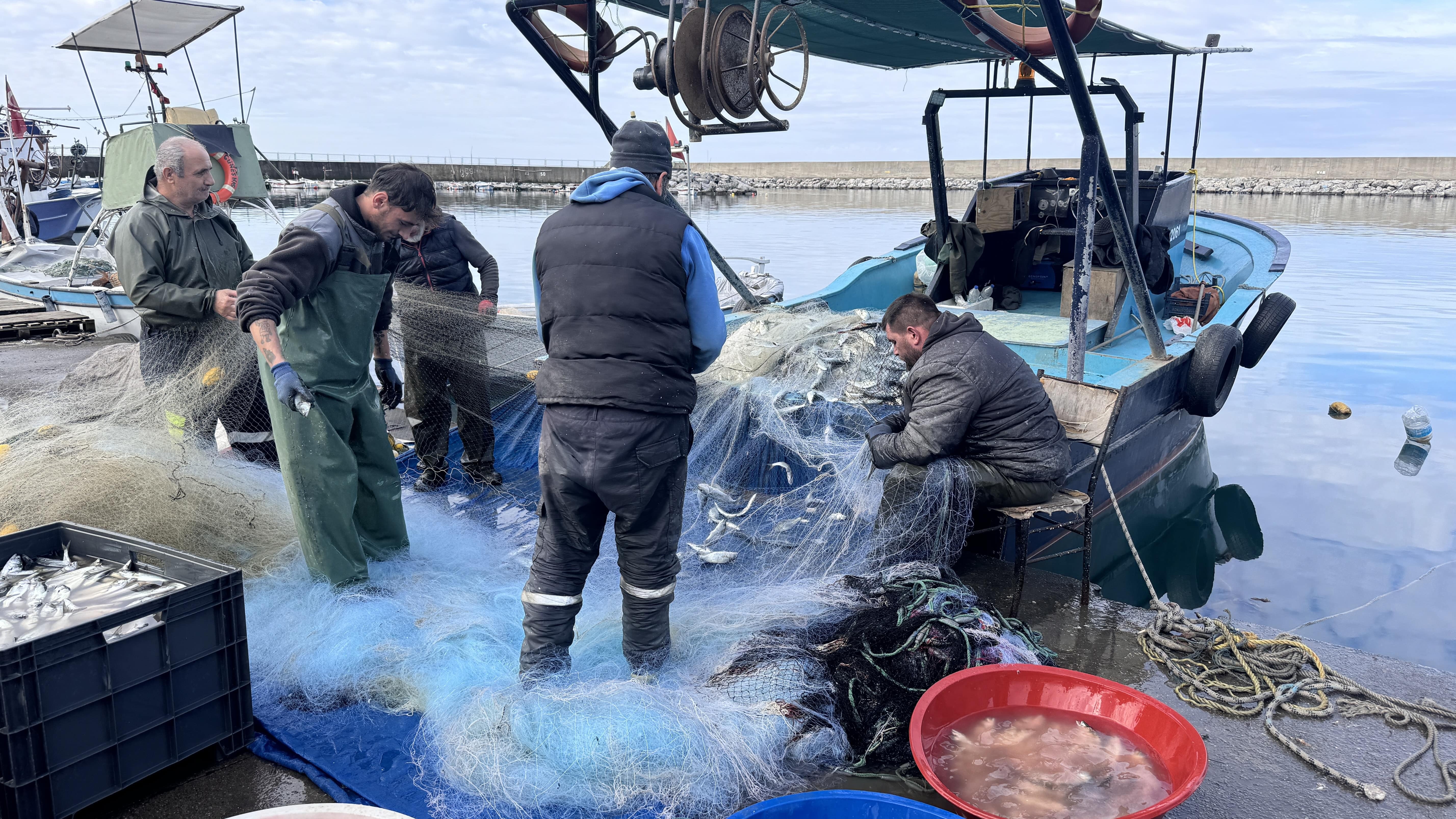 Kozlu Limanı'nda Balık Avında Mutluluk: 2 Ton Lüfer