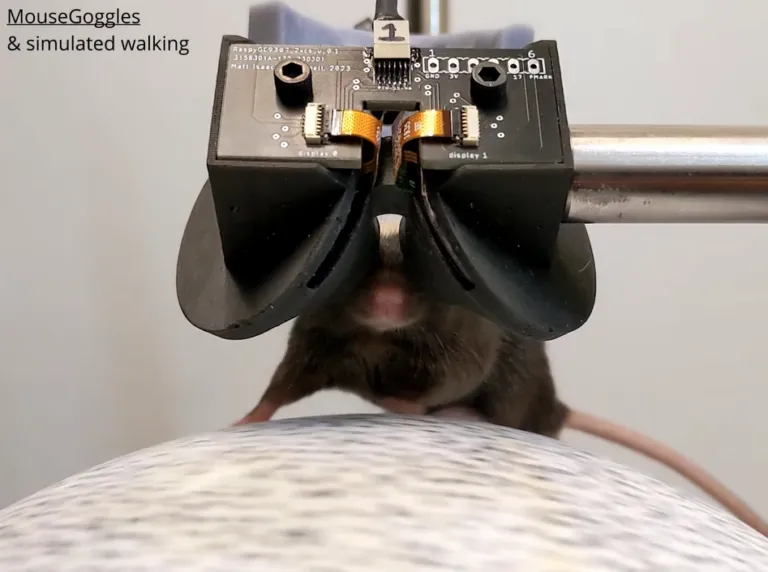 MouseGoggles: Farelerin Sanal Gerçeklikte Yeni Bir Dönemi