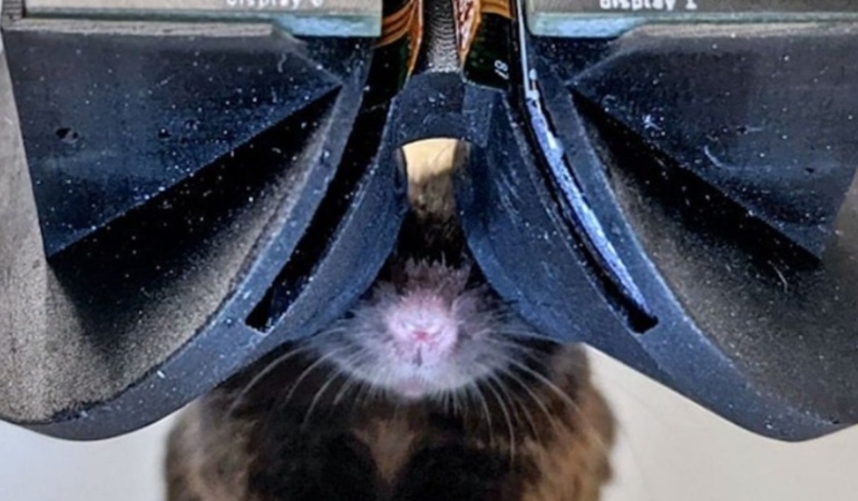 MouseGoggles: Fareler İçin Yeni Sanal Gerçeklik Sistemi