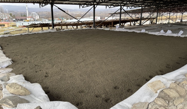 Pompeiopolis: Tarihin Derinliklerinde Bir Yolculuk