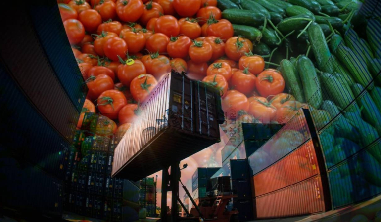 Tarım Sektöründe 2024 İhracat Rekoru ve Gelecek Hedefleri