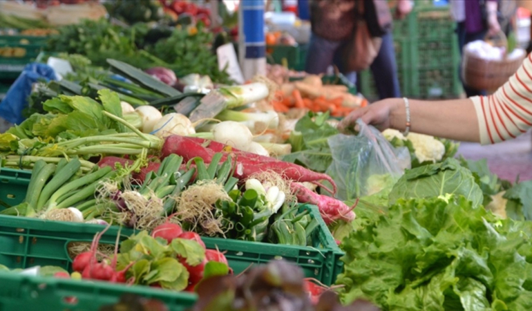 TEPAV Gıda Fiyat Endeksi Raporu: Aralık 2024 Verileri