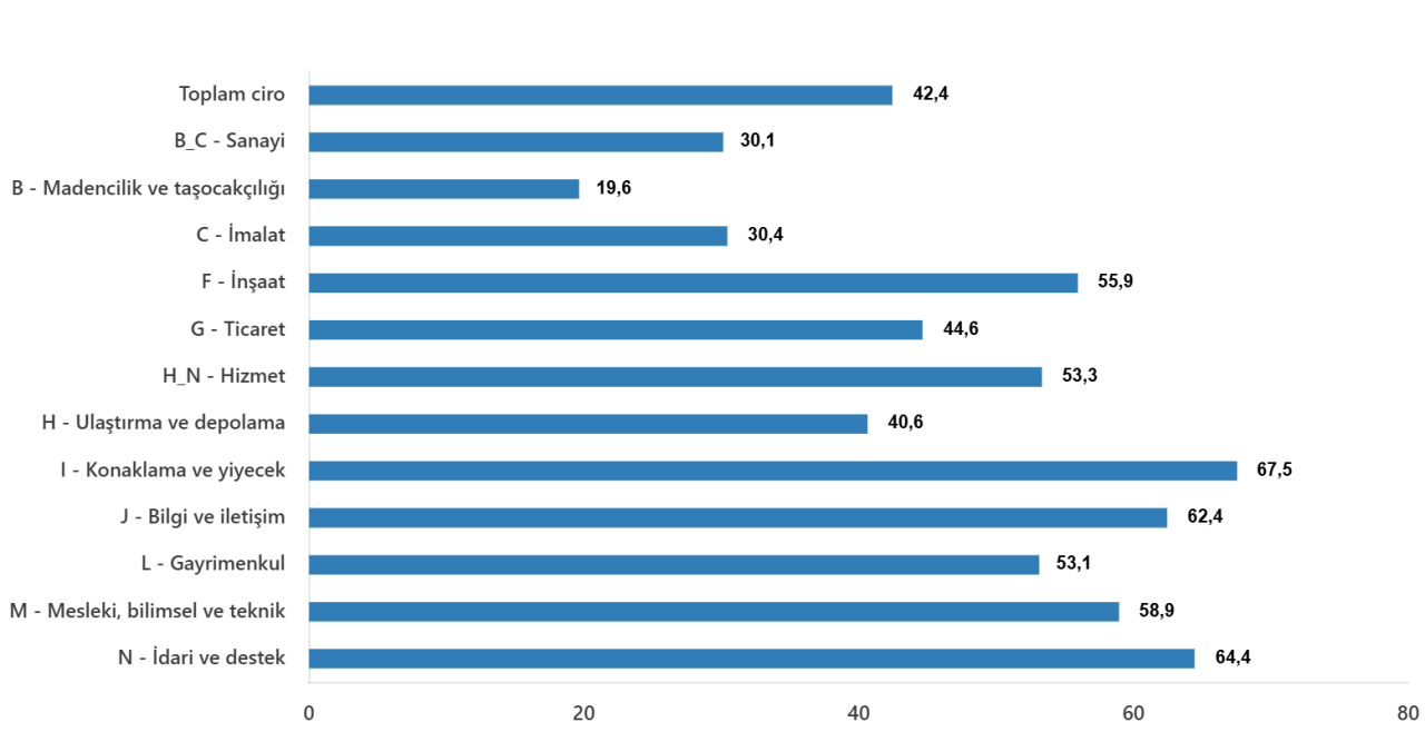TÜİK Ciro Endeksleri: Kasım 2024 Raporu