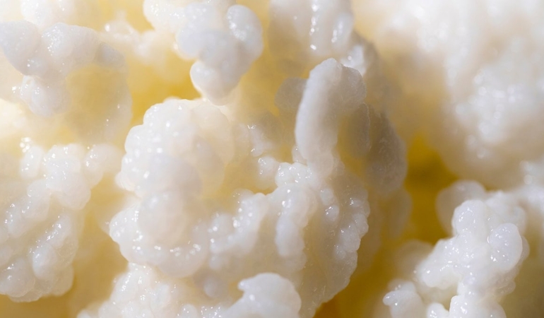 Kefir, Alzheimer hastalığına karşı koruma sağlıyor