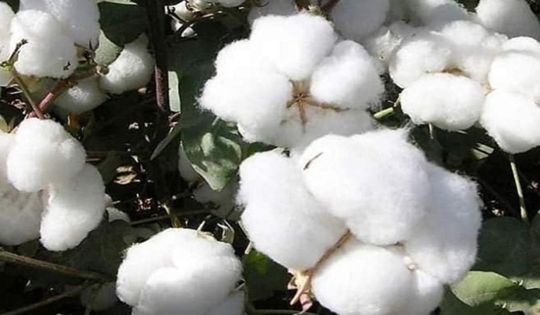 “Kadınlara ve gençlere özel faiz indirimleri sağlanıyor”