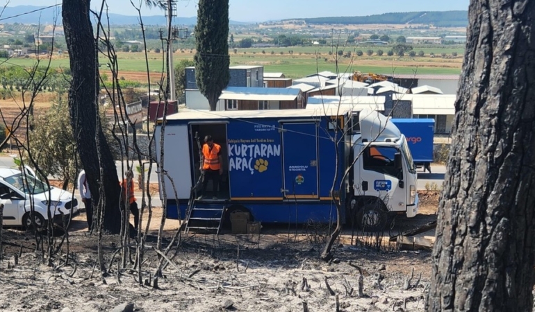 Anadolu Sigorta’dan kurtaran işbiriliği