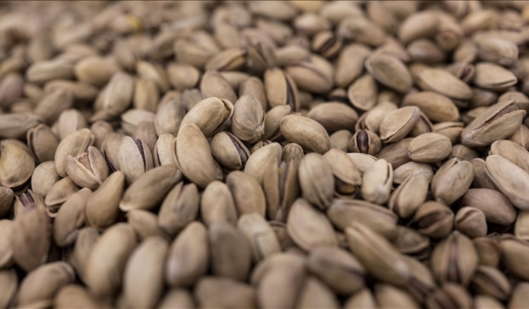 Üç bakanlıktan fıstık sektörü denetimi