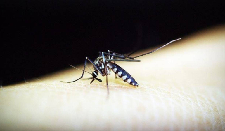 Yüksek ateş ve eklem ağrısıyla başlıyor! 7 bini aşkın olay bildirildi…