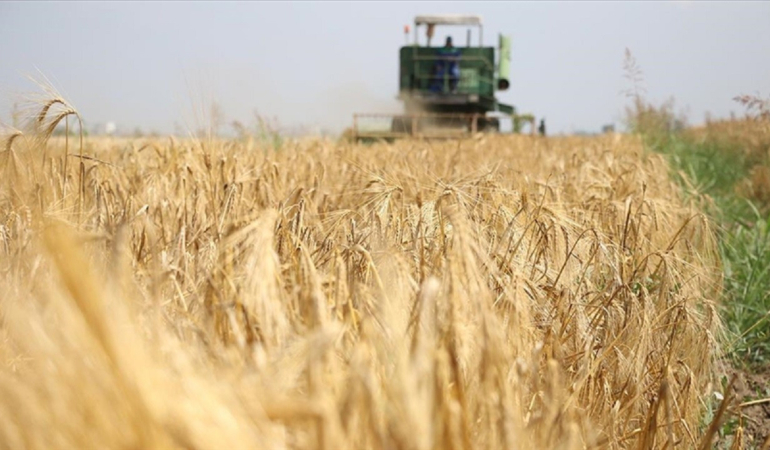 Ziraî girdi fiyatları haziran ayında da arttı