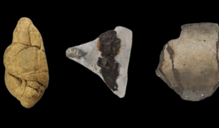 6 bin yıllık sakız gizemi çözdü