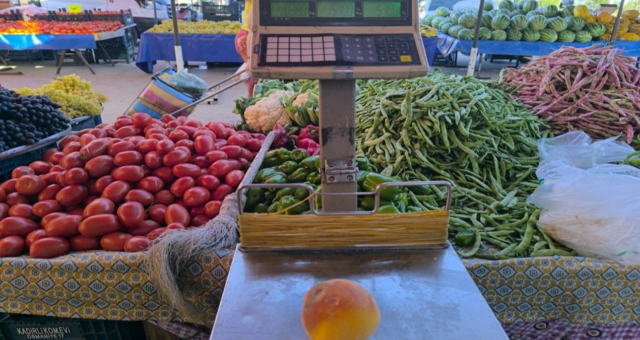bereketli-cukurovada-bir-tane-seftali-57-lira-AJLNH3ah.jpg