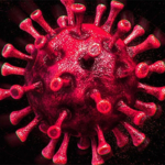 kibristan-dunya-bilim-literaturune-yeni-virus-cesidi-alasiavirus-kesfedildi-zIUHNIDN.jpg
