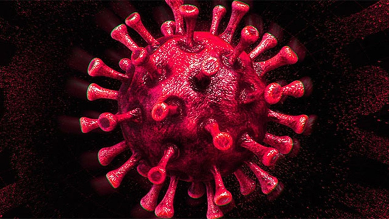kibristan-dunya-bilim-literaturune-yeni-virus-cesidi-alasiavirus-kesfedildi-zIUHNIDN.jpg