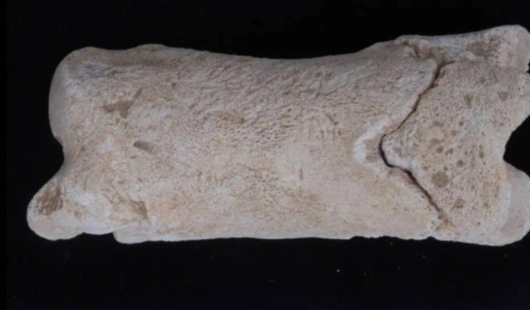 Mezar bekçilerinin 3 bin 300 yıllık alarmı bulundu