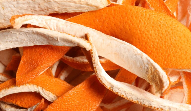 ‘Mutfak lavabolarına portakal kabuğu koyun’ uyarısı yapıldı