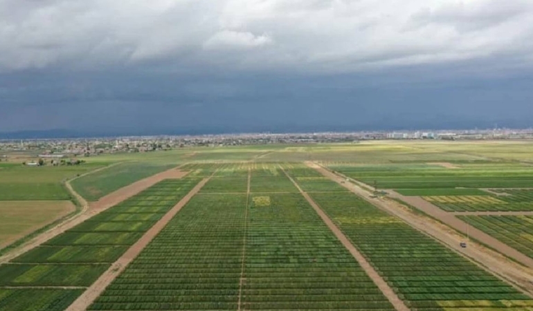 Tarımda girdi maliyetleri artmaya devam ediyor: Yıllık yükseliş yüzde 34’ü aştı