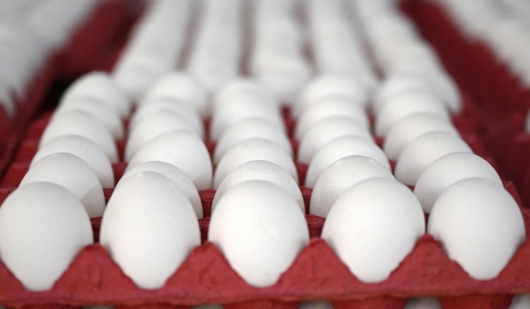 Yumurtaya zam gelecek mi? En yetkili isim açıkladı