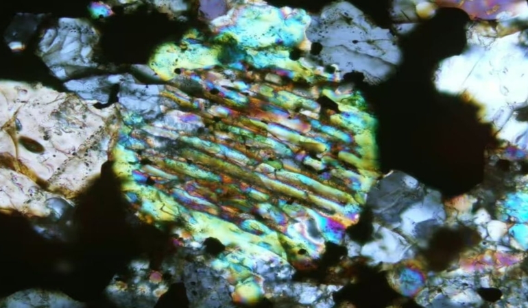 Altın sandı, bulduğu şey bambaşka çıktı: Gerçek altından daha nadir