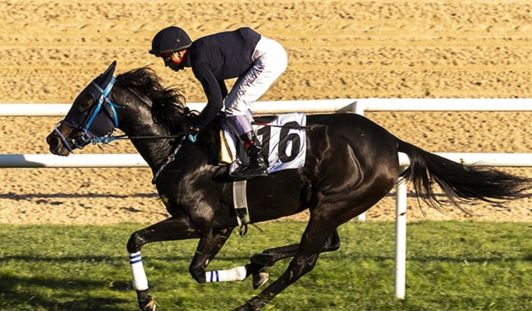 At yarışı sektörü “gizli vergi” tehdidi altında