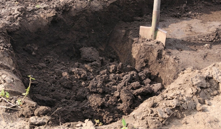 Bahçesini kazarken hayatı değişti: Poşetleri açtıkça milyoner oldu