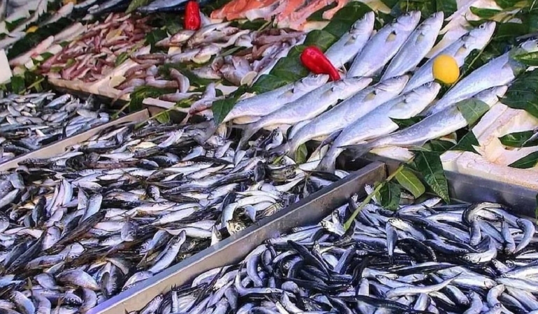 Balık tezgahları şenlendi: Fiyatı 50 liraya düştü