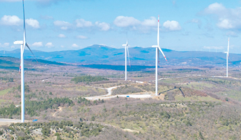 Borusan EnBW Müdürü Amasyalı: Kurulu gücü yıl sonunda 935 MW’a çıkarmış olacağız