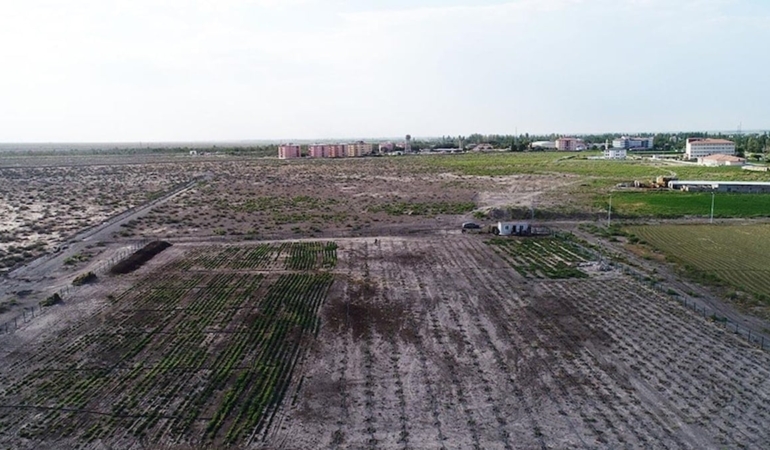 FAO’dan Türkiye’de arazi tahribatını önlemeye 8,15 milyon dolarlık destek