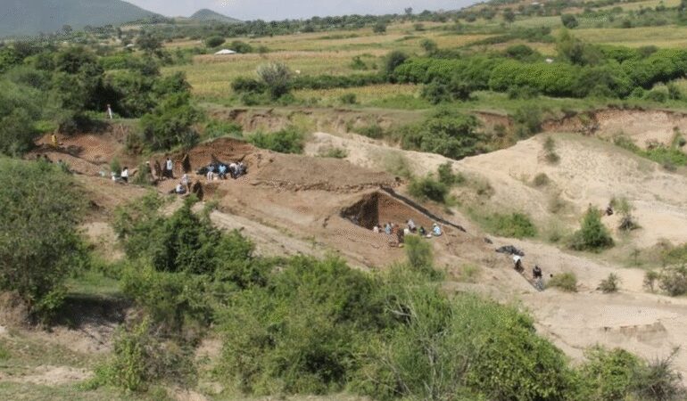 İnsanlık tarihini değiştirecek DNA’a keşfedildi