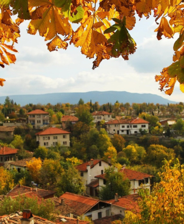 kasim-ruzg-rinda-bir-sonbahar-yolculugu-huzurun-ve-renklerin-pesinde-h6J9xLxJ.jpg