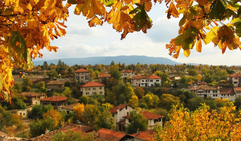 Kasım rüzgârında bir sonbahar yolculuğu: Huzurun ve renklerin peşinde…