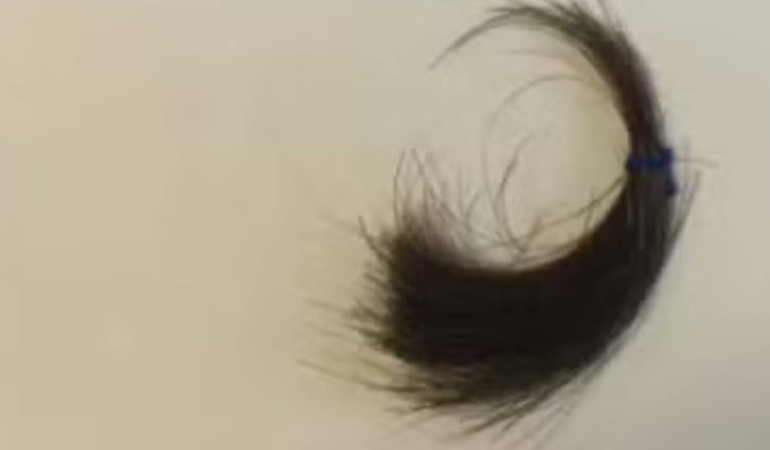 Kralın bir tutam saçı 450 bin liraya satışa çıkarıldı: Dünya bunu konuşuyor