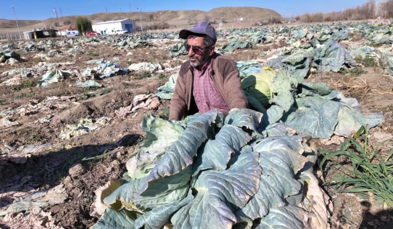 Tarlasını vatandaşa açtı: Köşeyi döndü