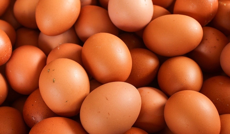 TÜİK açıkladı: Tavuk yumurtası üretimi azaldı