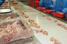 bakanliktan-aciklama-tavuk-eti-ihracati-durduruldu-NkgDDiGt.jpg