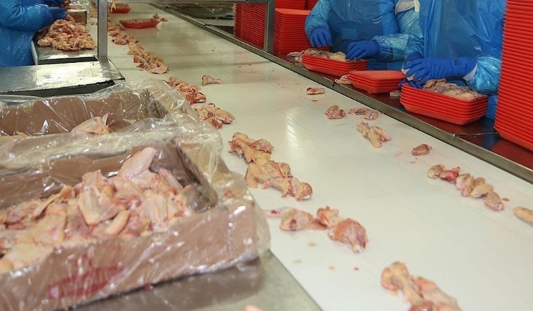 Bakanlık’tan açıklama: Tavuk eti ihracatı durduruldu