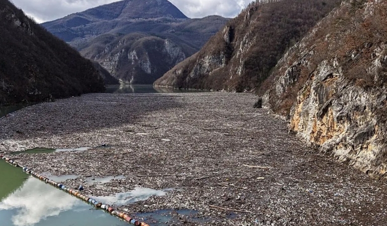 Binlercesi sahile vurdu: Üç ülke tek noktada toplanıyor