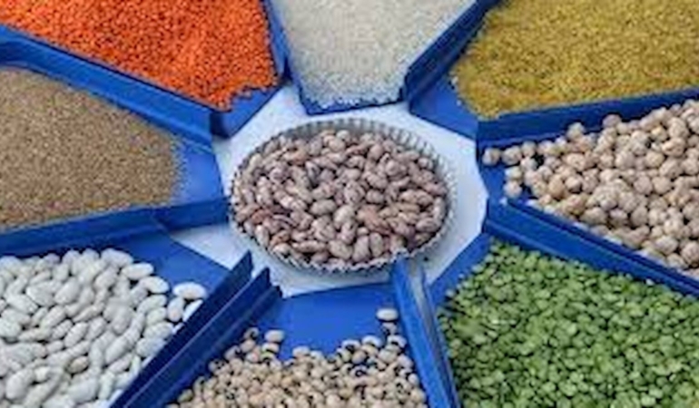 Hububat, bakliyat, yağlı tohumlar ihracatı ocak ayında 1 milyar dolara yaklaştı