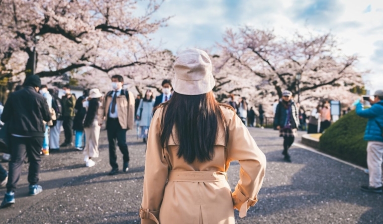 Turist krizi festivali iptal ettirdi